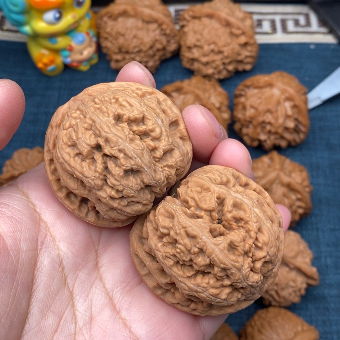 文玩核桃把件45毕业球筋全品