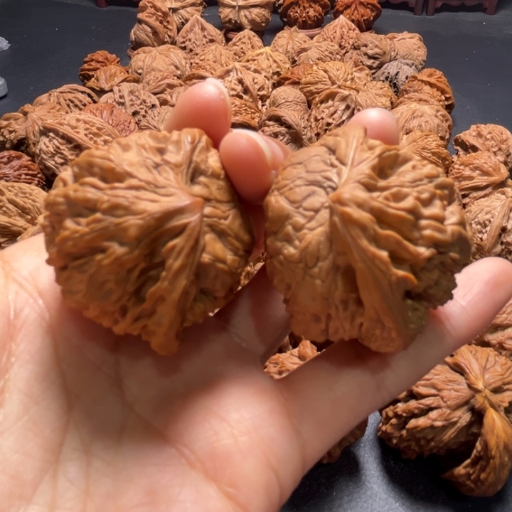 官帽蛇头41尺寸核桃哈哈哈哈哈哈哈哈