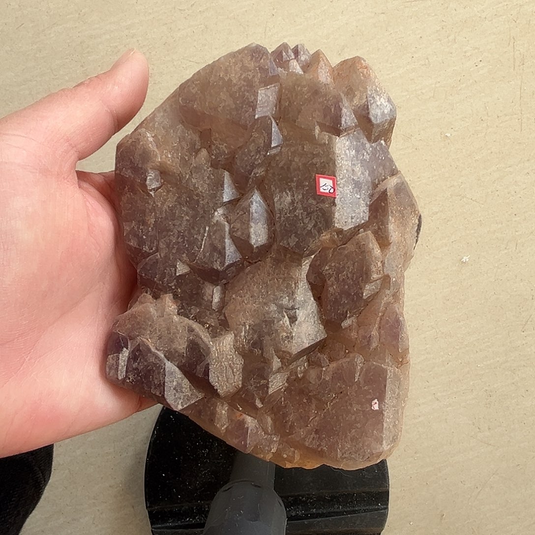 紫晶珠宝半成品银S925镶嵌紫水晶鳄鱼骨干