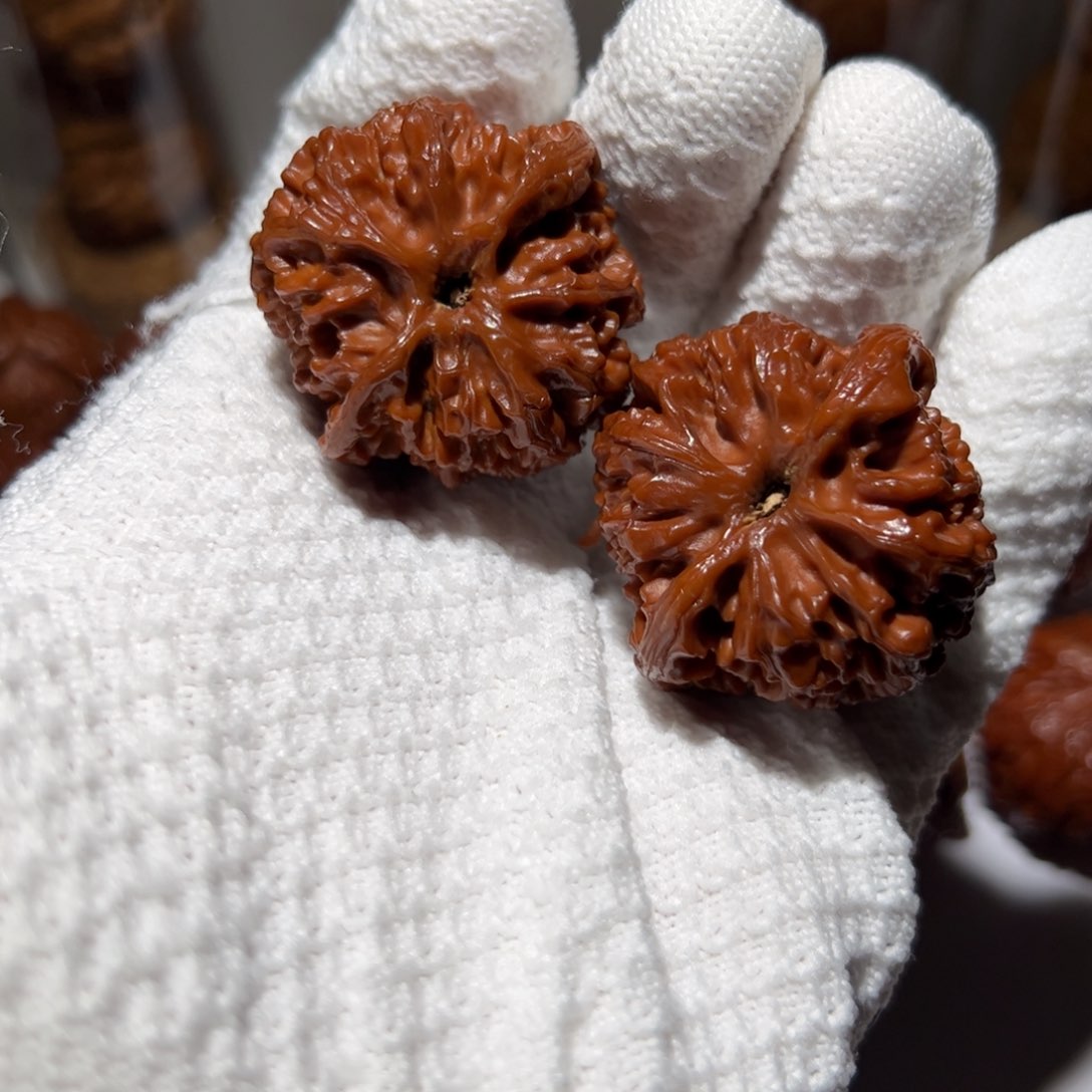 文玩核桃把件苹果园