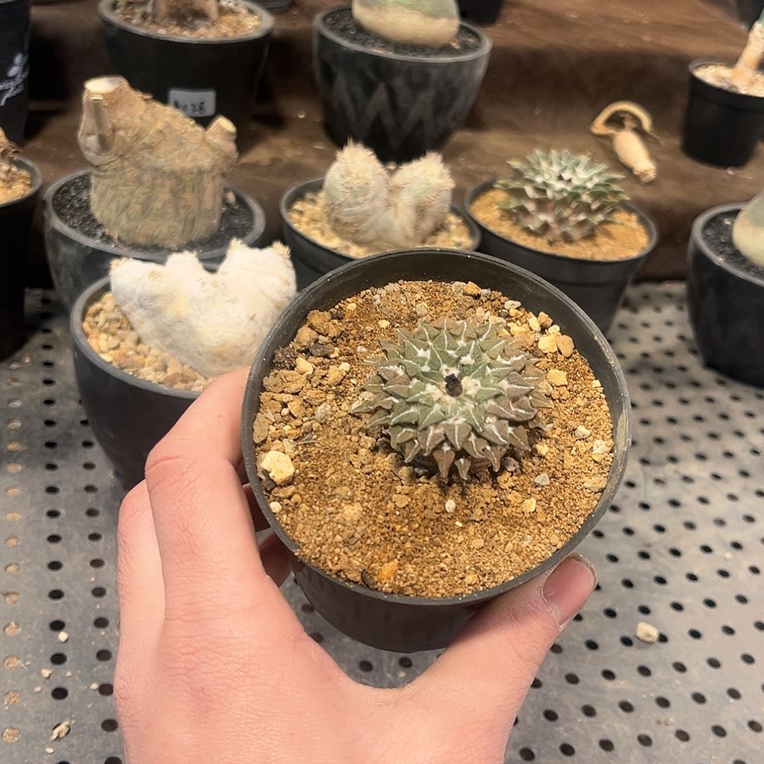 哭*111111111111111111111