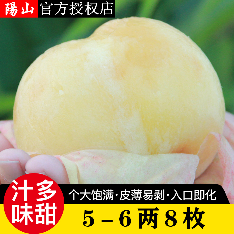 【5-6两】正宗无锡阳山水蜜桃新鲜水果应当季白凤湖景礼盒空运