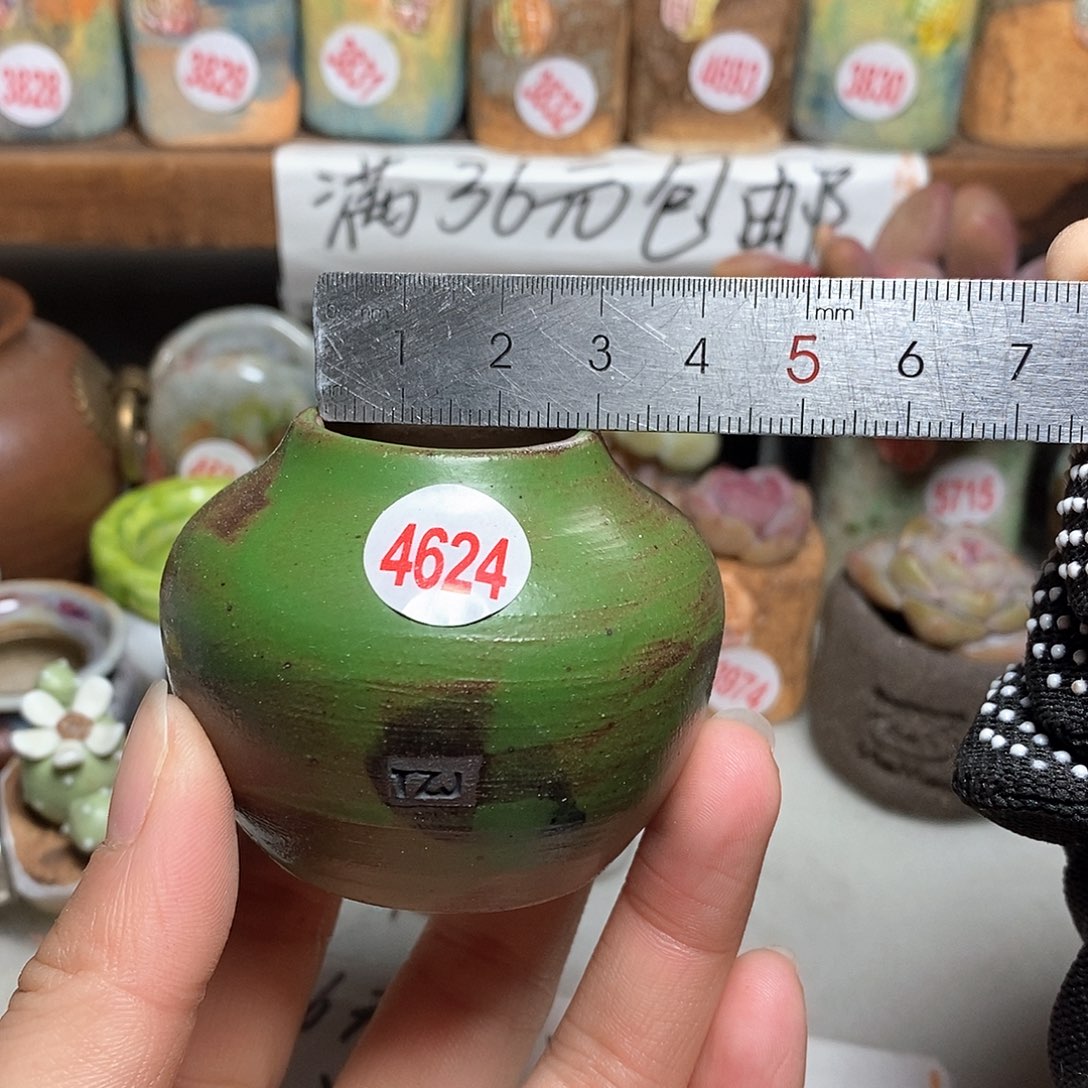 红陶拍5送一个小