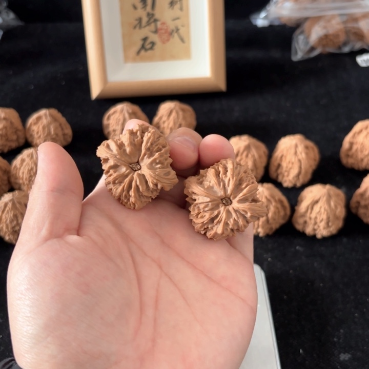 文玩核桃吊坠D****s南将