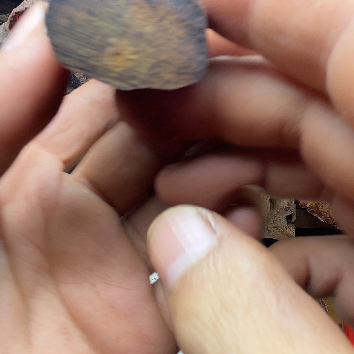 降真香高油奇楠定制单圈