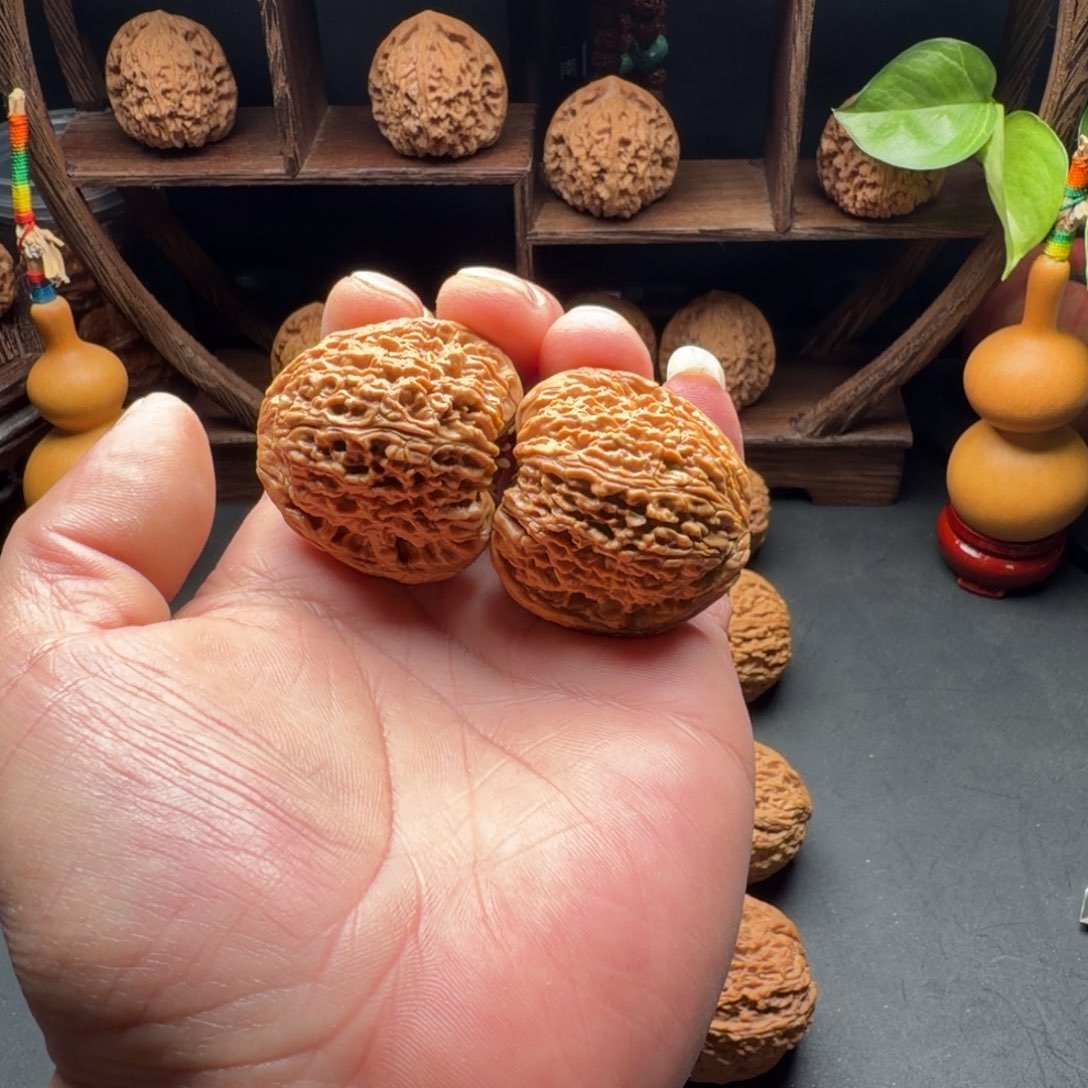 ****乐核桃南疆石蚂蚁拉丝凹底尺寸40