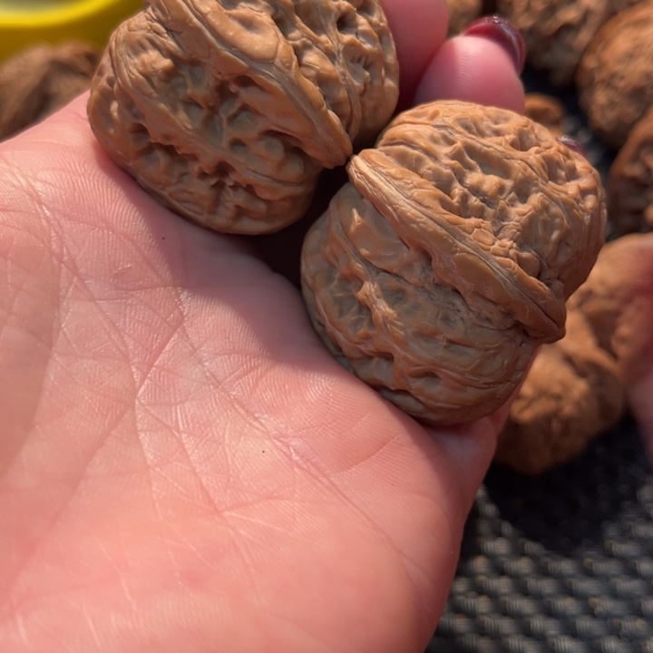 黄***哥把件文玩核桃元宝