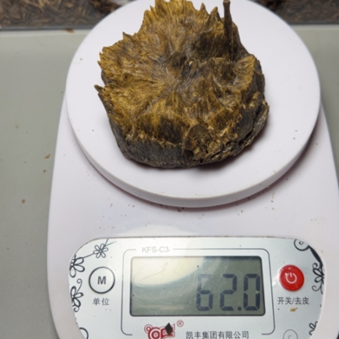【闪购商品】核桃木/黑胡桃（胡桃木）农*工海南野生包头62克