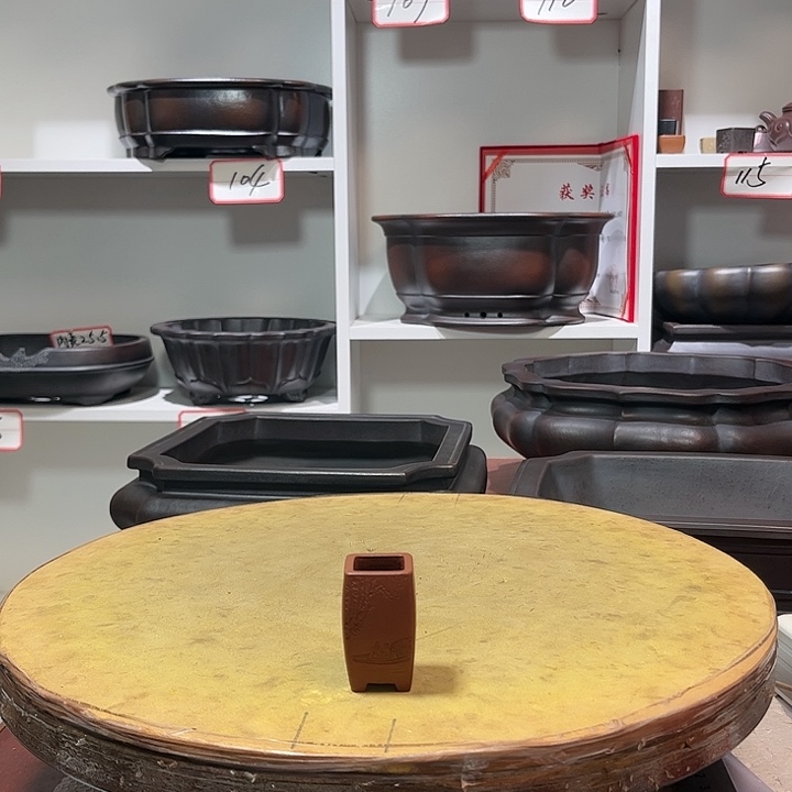 紫砂花盆开**好11111111111