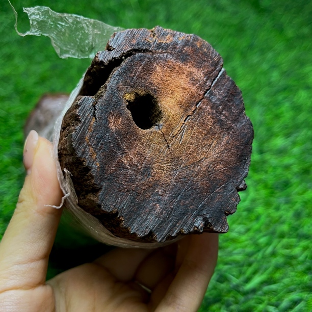 天然降真香帝王香暗黄绿高密藤品金丝蜜结油秒沉水猫猫推荐