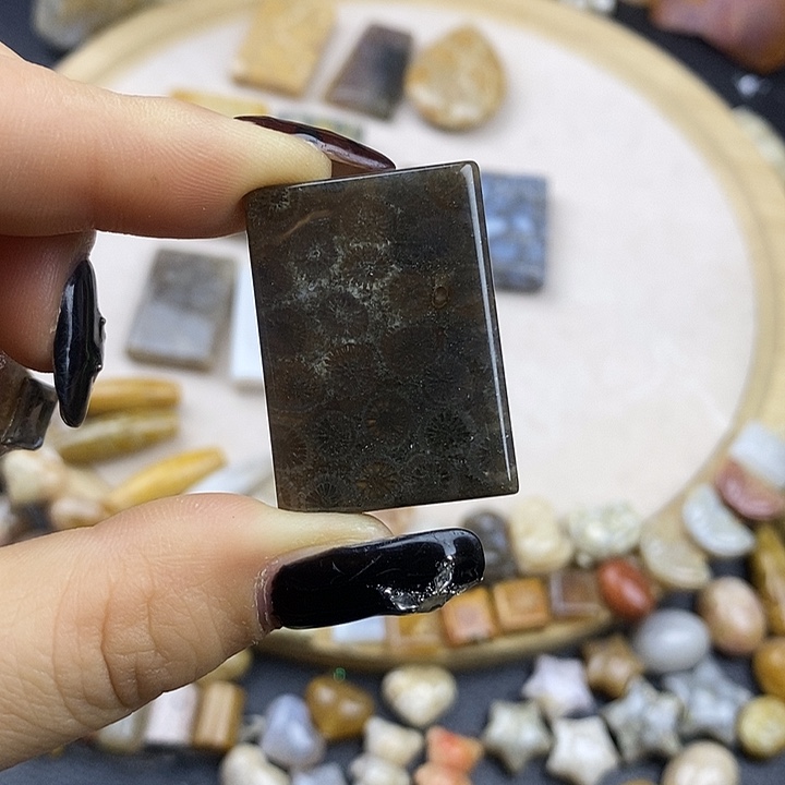 硅化玉未镶嵌颈饰17