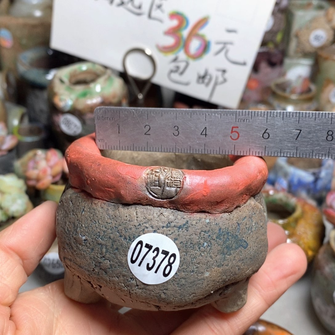 花盆拍3送一个小礼物