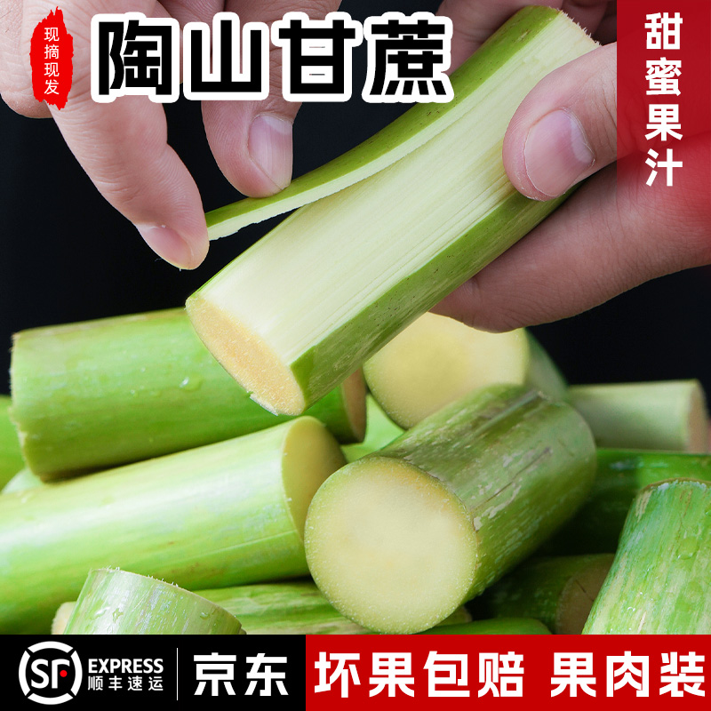 青皮甘蔗手撕甘蔗新鲜脆皮绿皮甘蔗果肉装3-5斤当季水果陶山甘蔗
