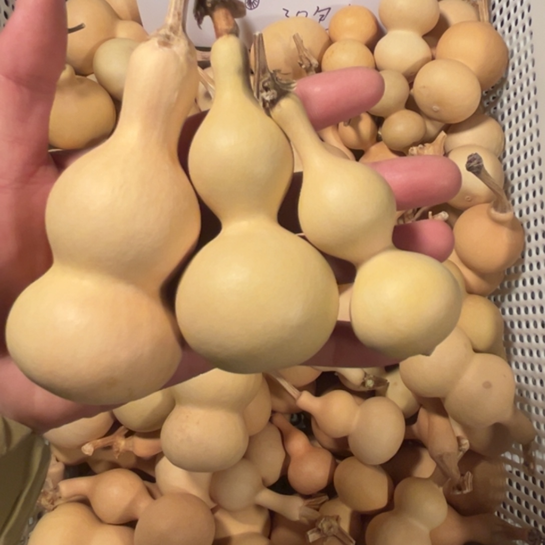 葫芦三个1111111111