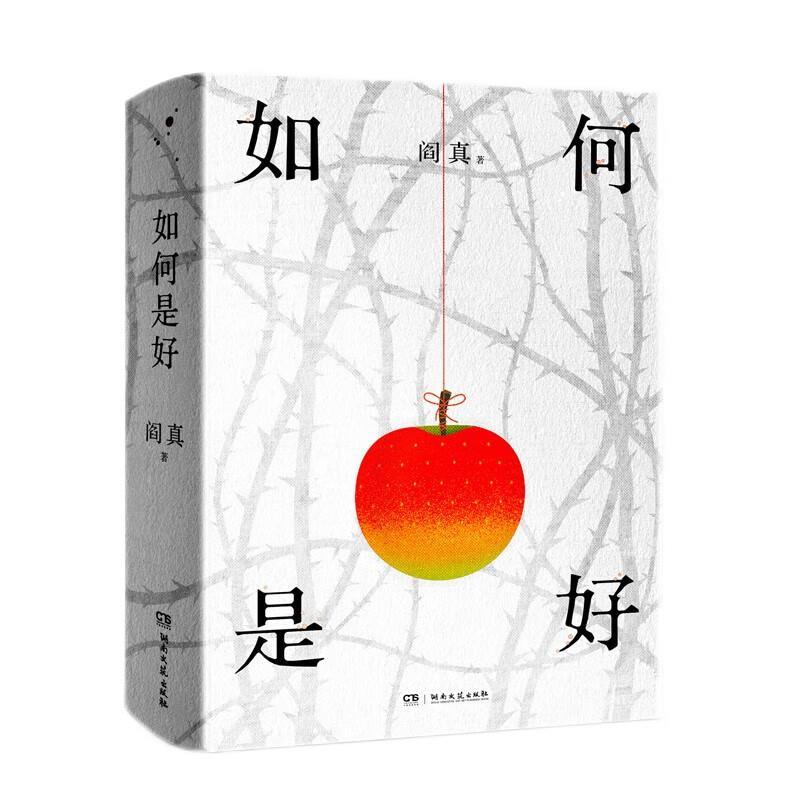 新华正版  如何是好 湖南文艺出版社 阎真著