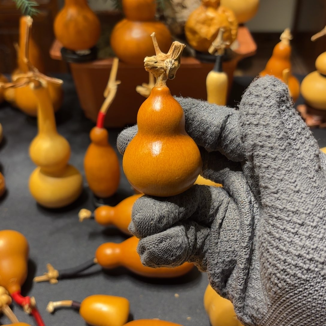 野***草葫芦888888888888888