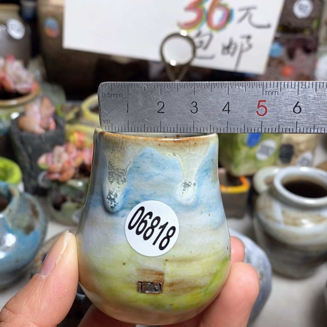 花盆拍5送一个小礼物