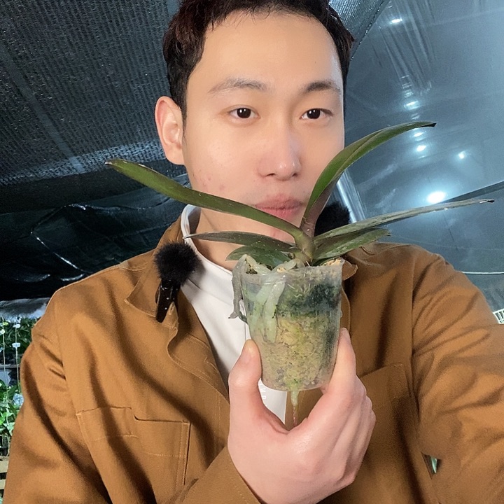 无花朵769大舌头