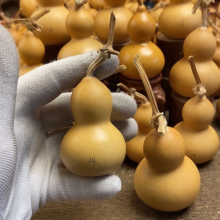 文玩葫芦 完美主义者 慎拍24