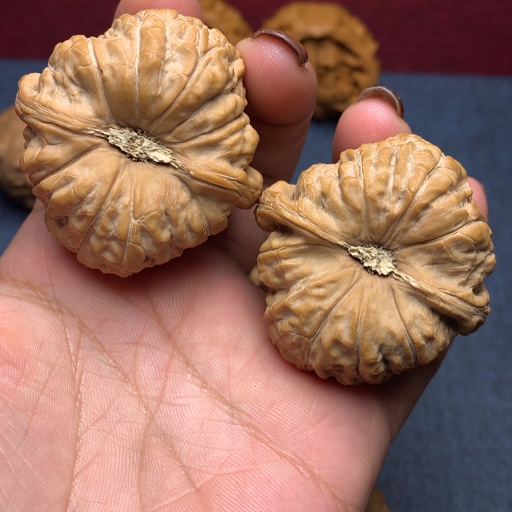 建***王文玩核桃44尺寸南瓜墩