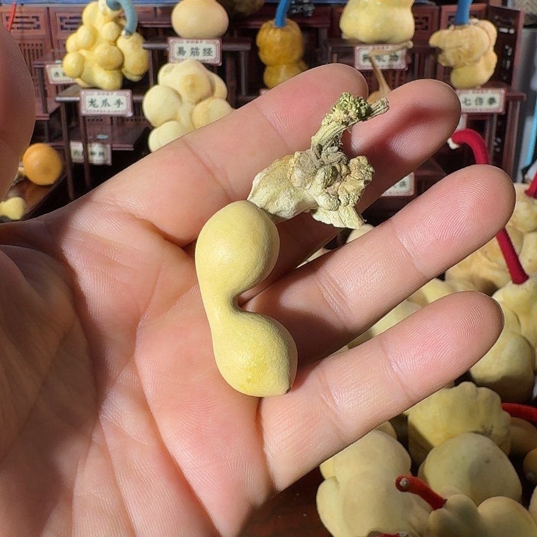葫芦弓背压手可爱