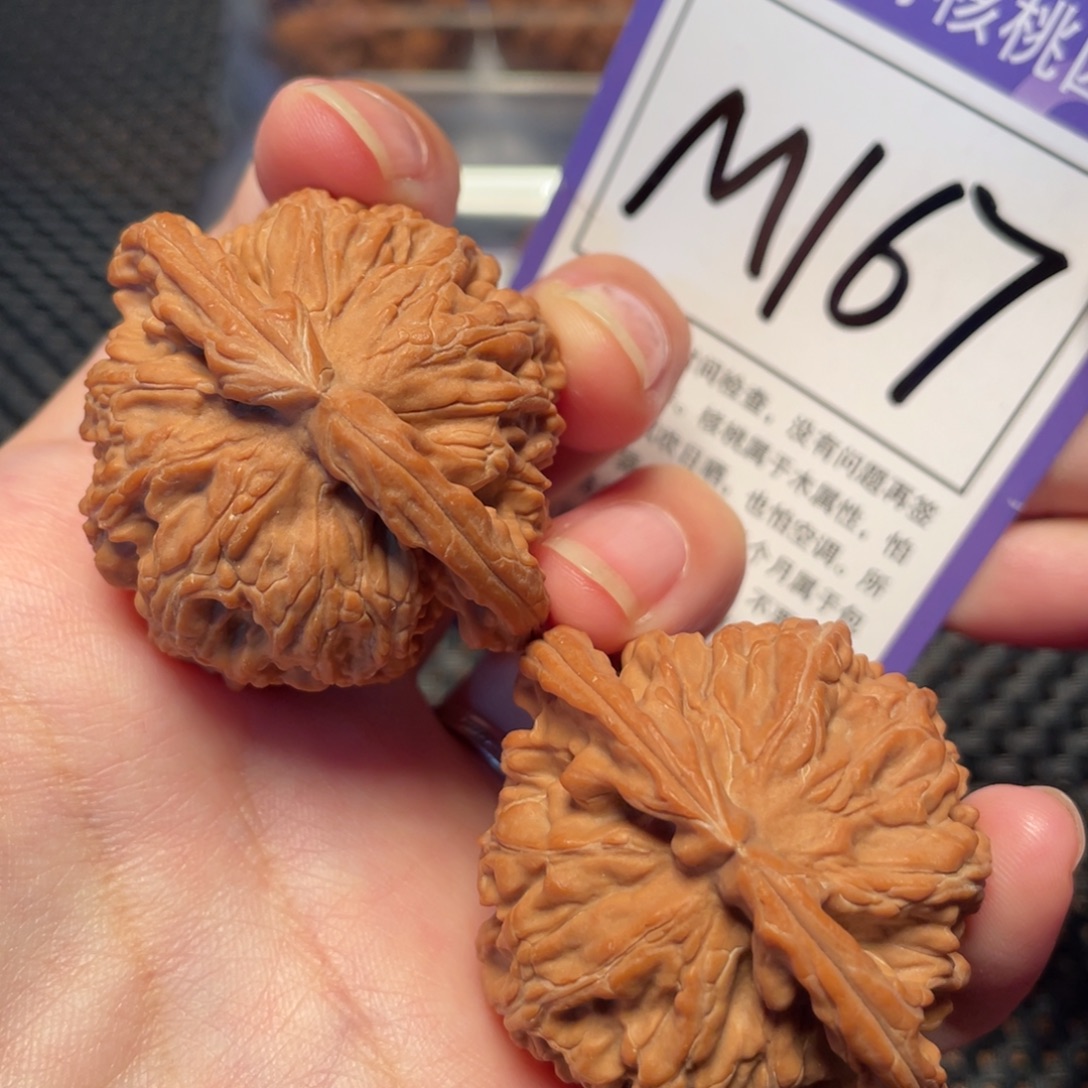 把件桃核M167号白狮子43