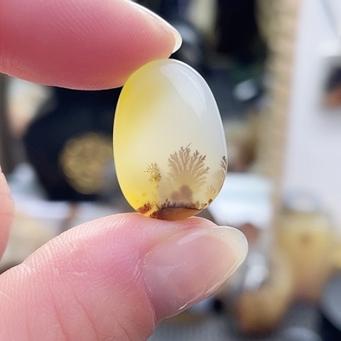 玛瑙/玉髓珠宝奇石未镶嵌