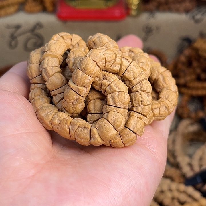 吊坠柏香籽/百香籽龙脊大肠