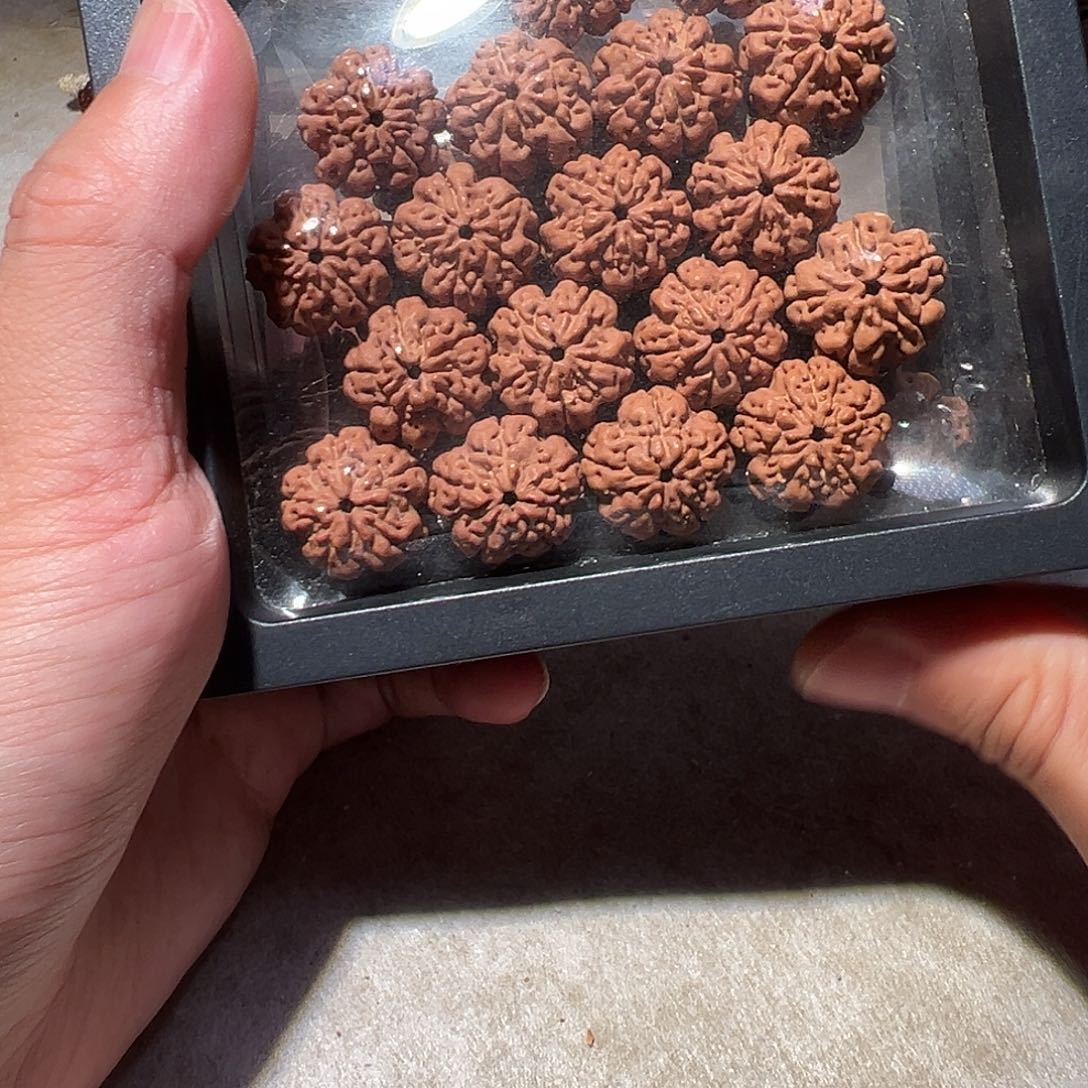 金刚菩提手串花王16尺寸福利