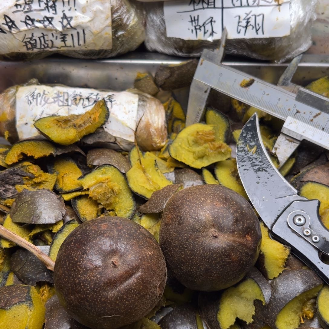 上***口吃惊你就斤斤计较看看你奶奶