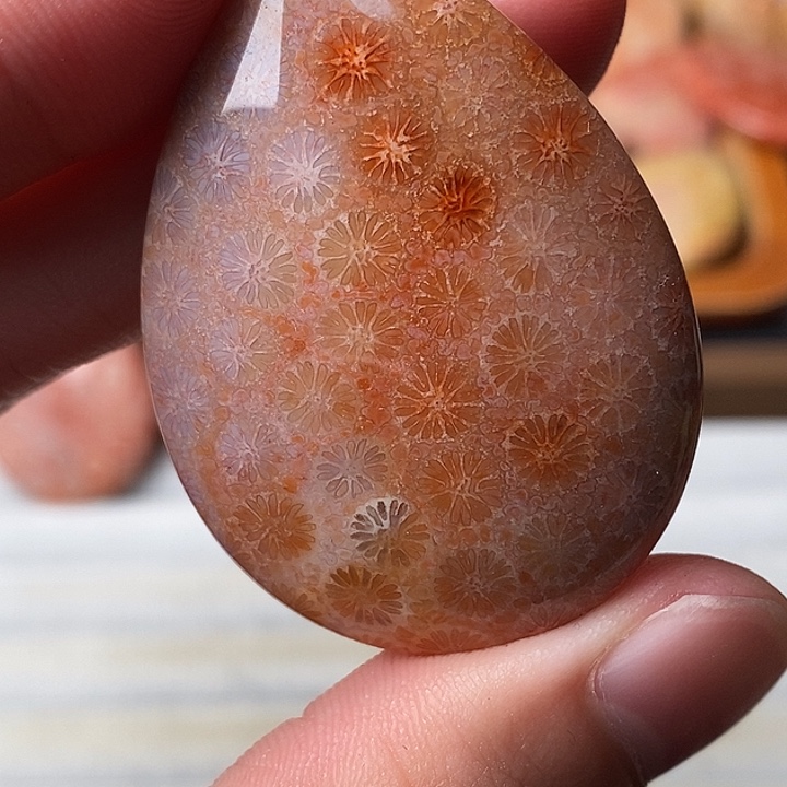 ༺***༻硅化珊瑚未镶嵌颈饰