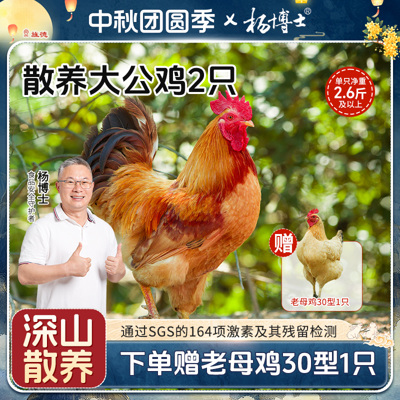 【2只散养大公鸡送老母鸡】杨博士土鸡正宗散养大公鸡深山新鲜现杀