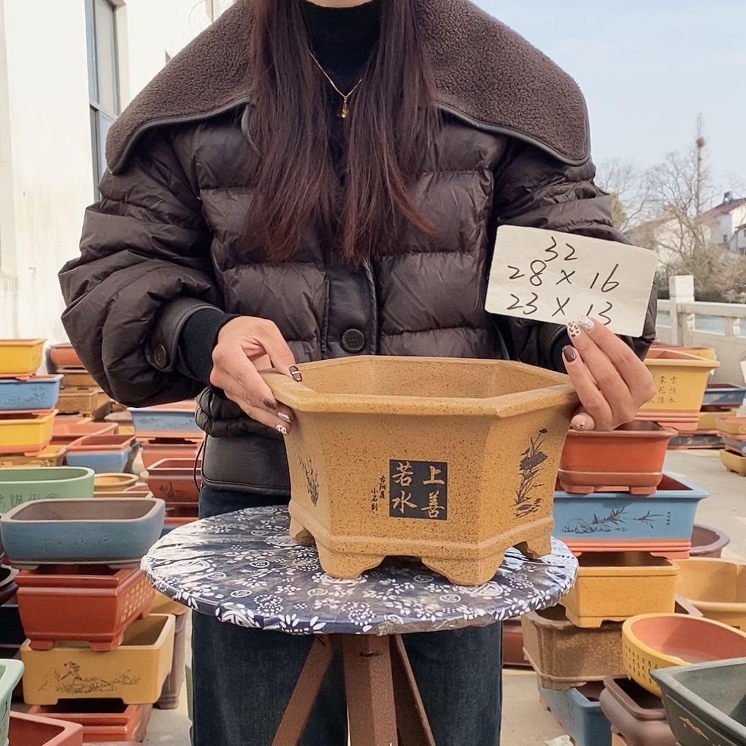 紫砂花盆紫砂花盆