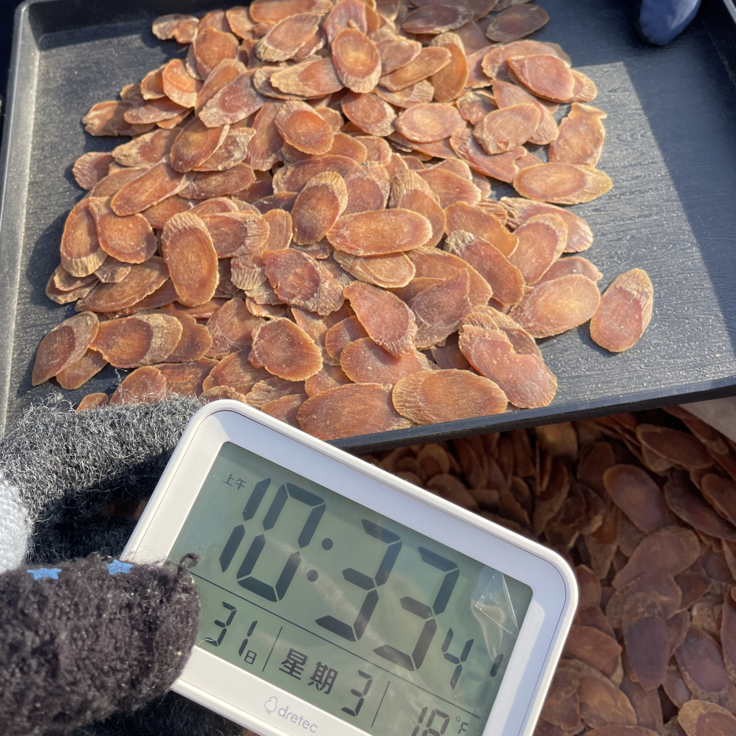 【小谢严选】长白山溯源-红参片 整支切片 12月31日