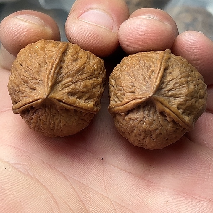 文玩核桃把件7号手捻三楞32尺