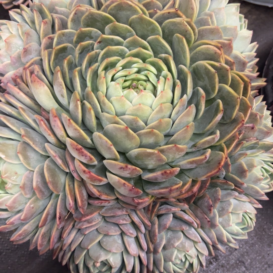 小***举8888888888888888