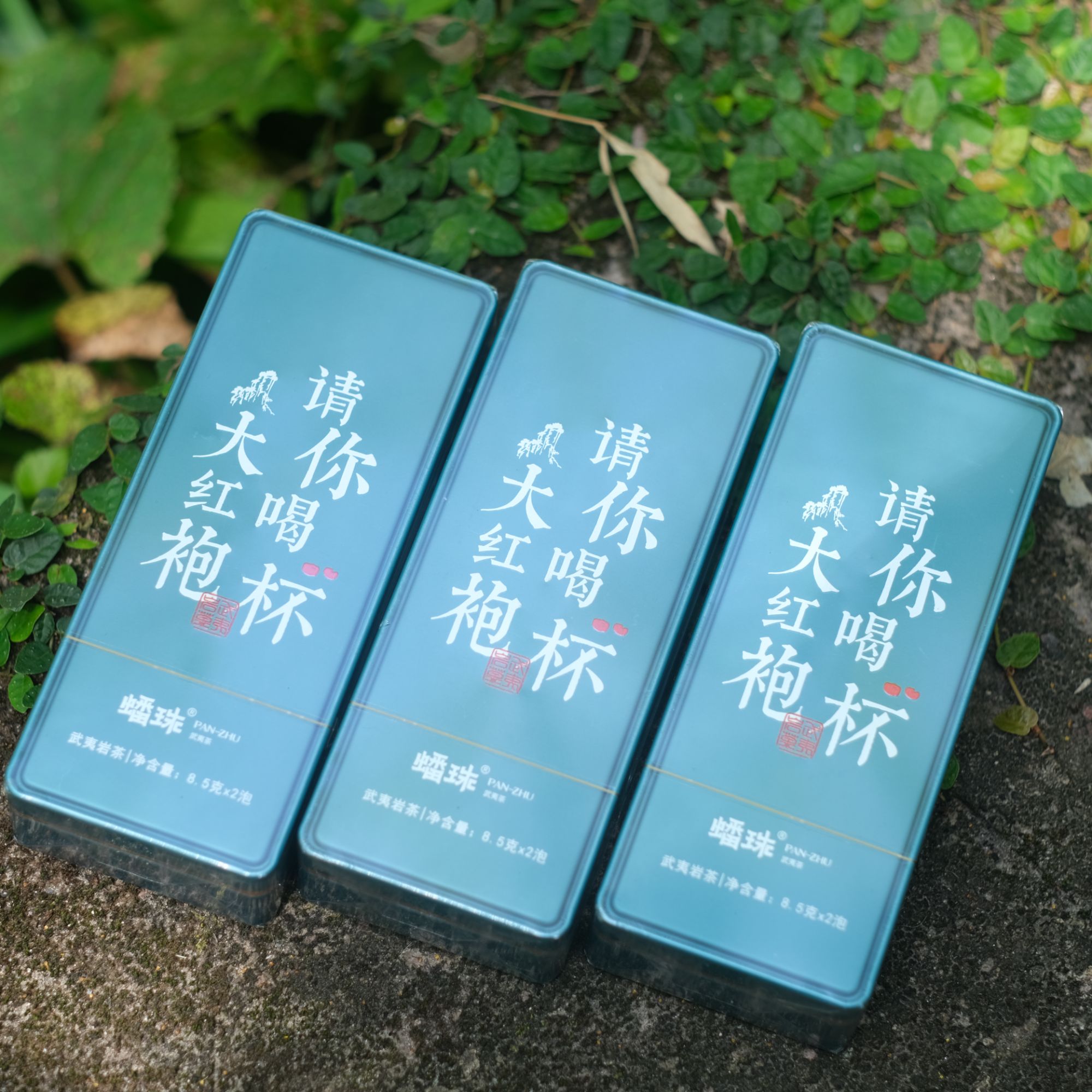 新人福利 请你喝杯大红袍 中火大红袍 小传统 铁盒2泡装