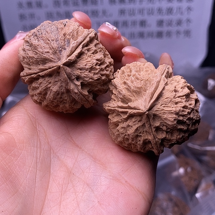 核桃云南野生铁核桃176号41mm