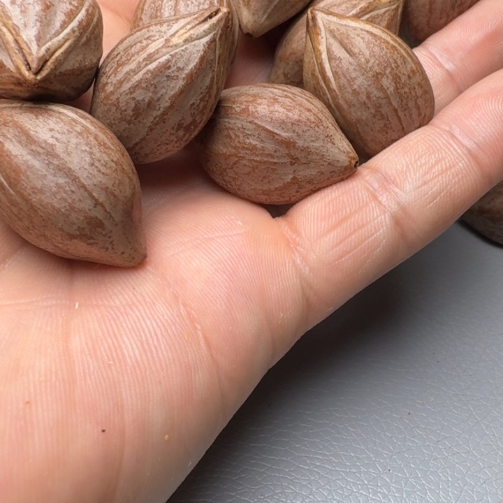 橄榄核手串时*橄榄核666