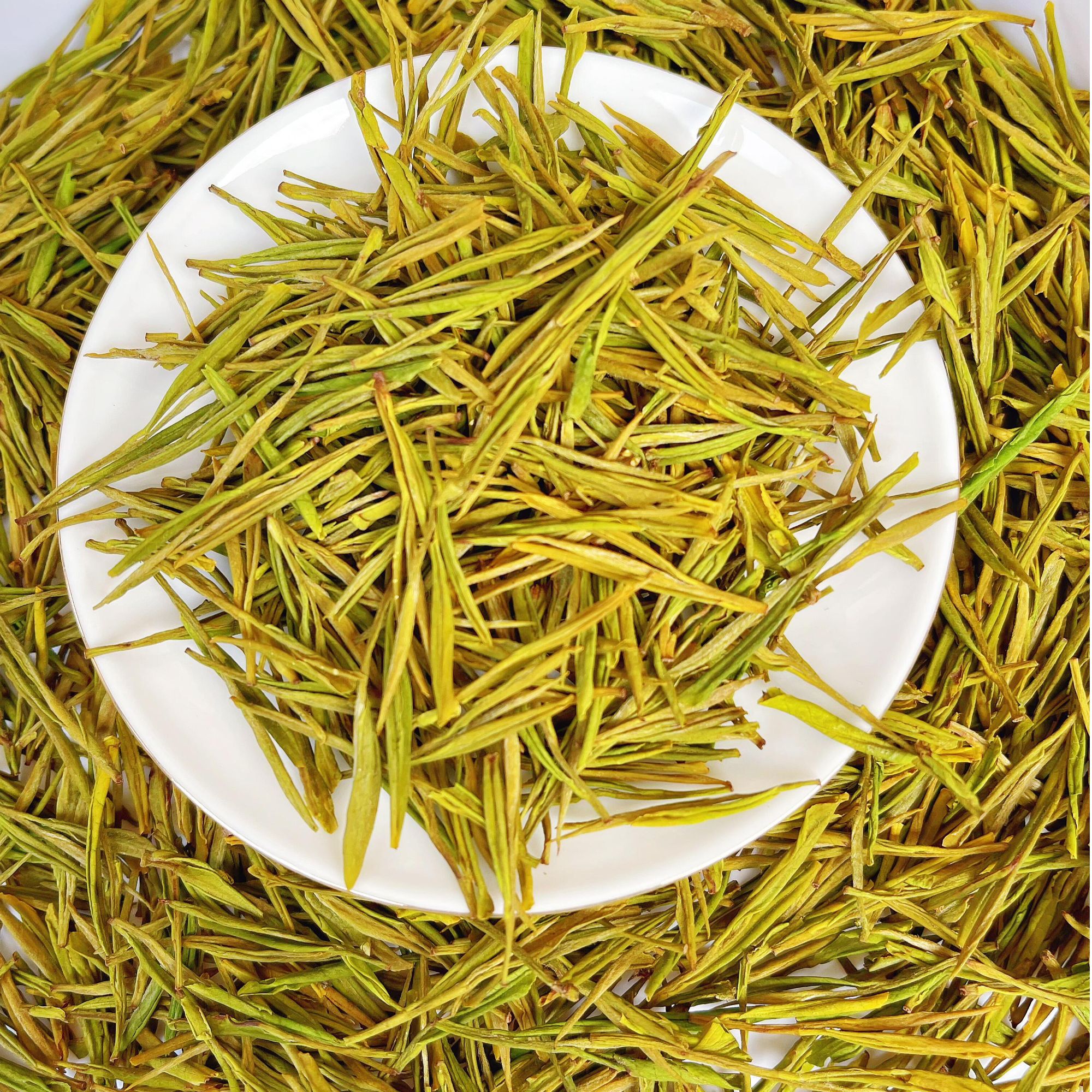 【交友黄金芽】25年新茶高山春茶黄金芽 罐装奶白茶 250g500g