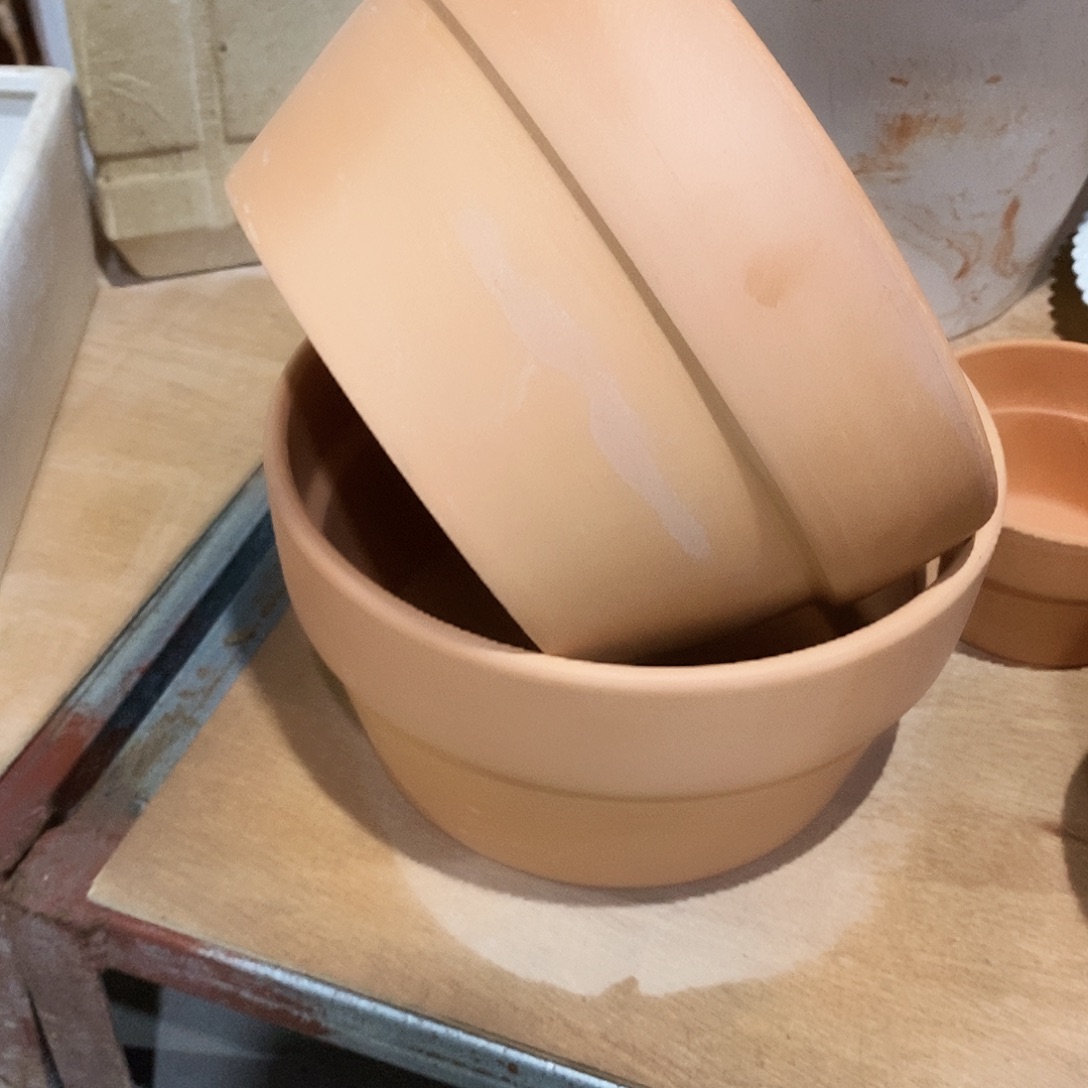 红陶20×11-2       