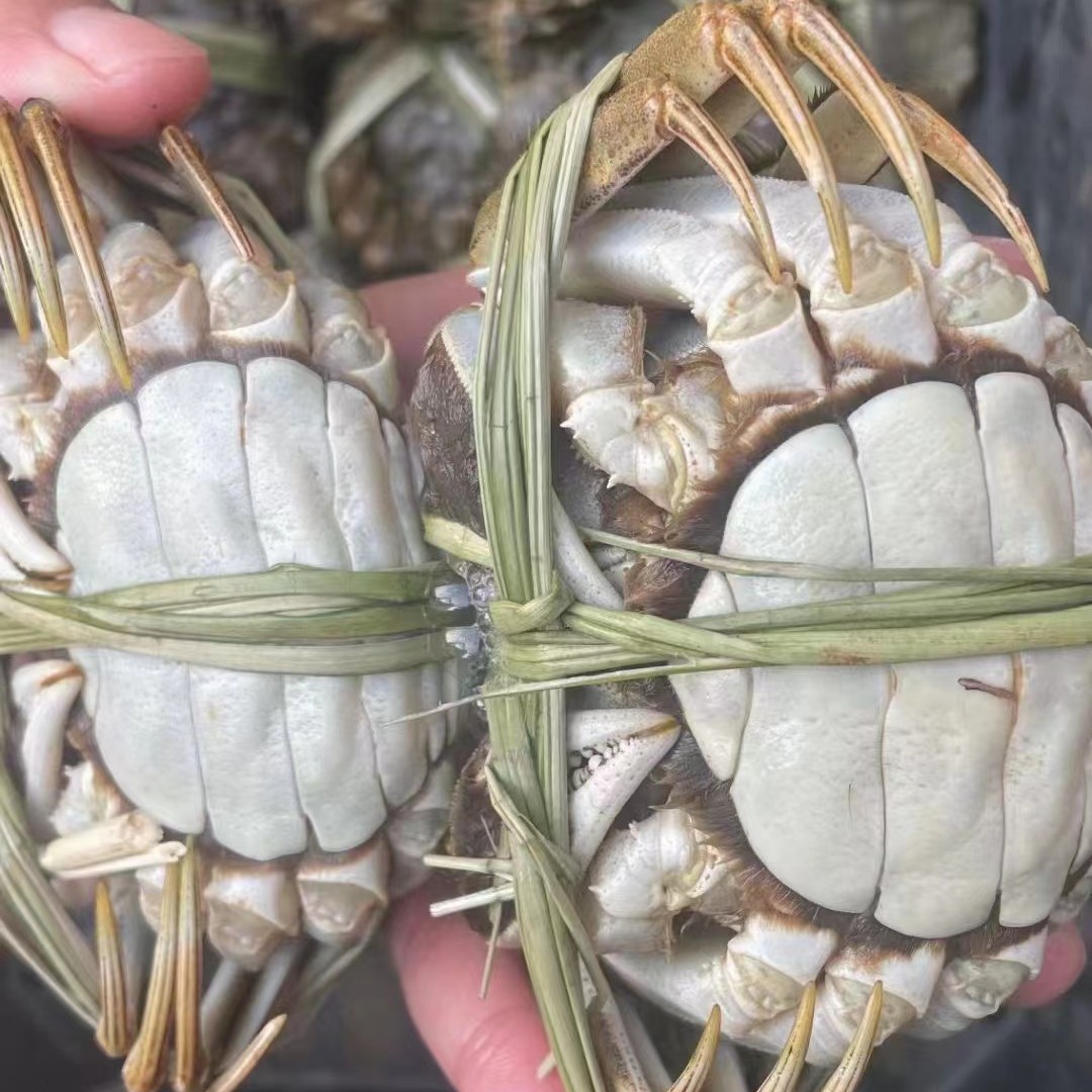 （活蟹）固城湖大闸蟹4两公蟹4只，3两母蟹4只（散装）