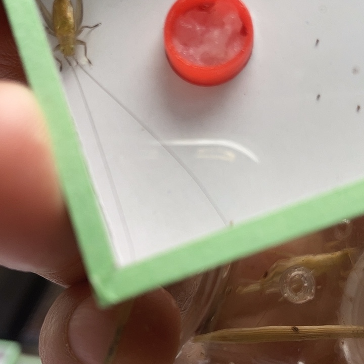 御***遥大黄1竹玲2啊啊啊啊啊啊啊