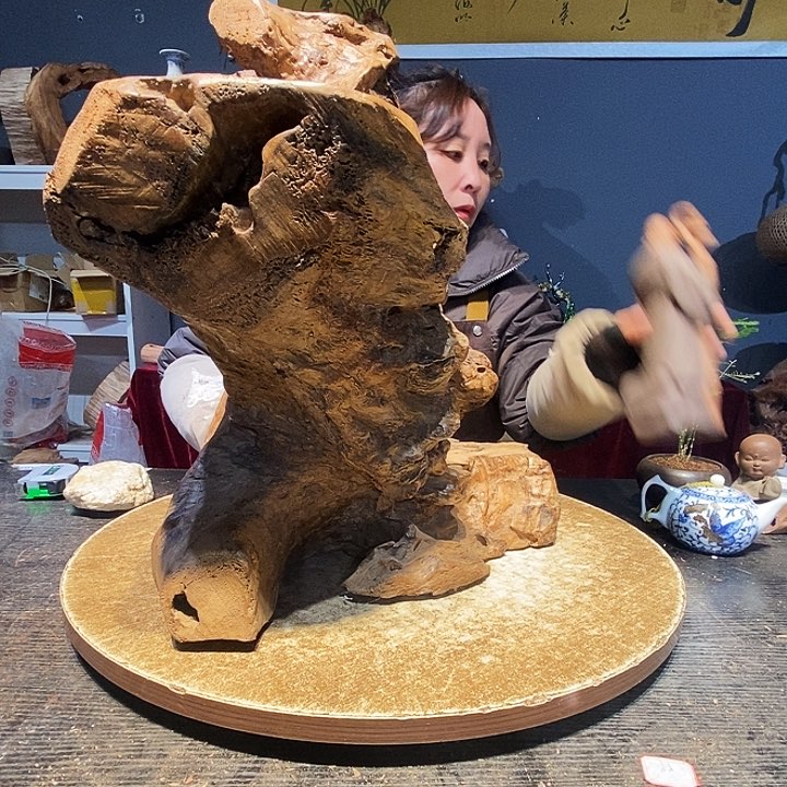 白****地994株木的随行的根艺