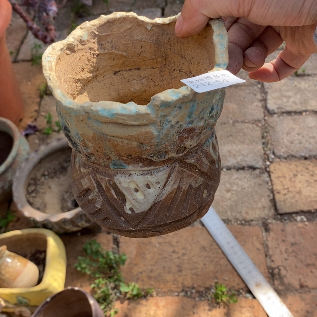 腰*b54号多肉盆一个呀