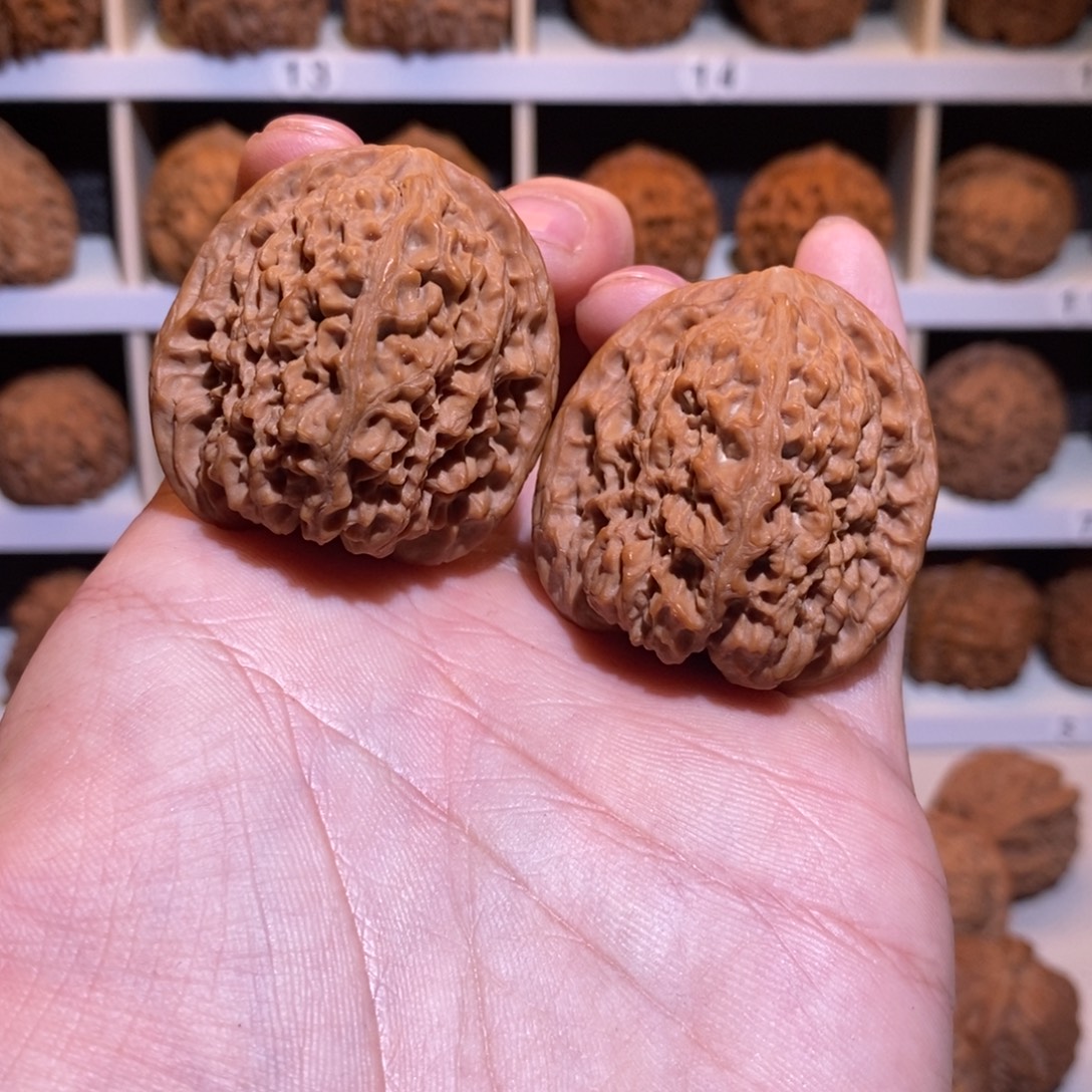 40尺 全品无修白茬 一代南疆