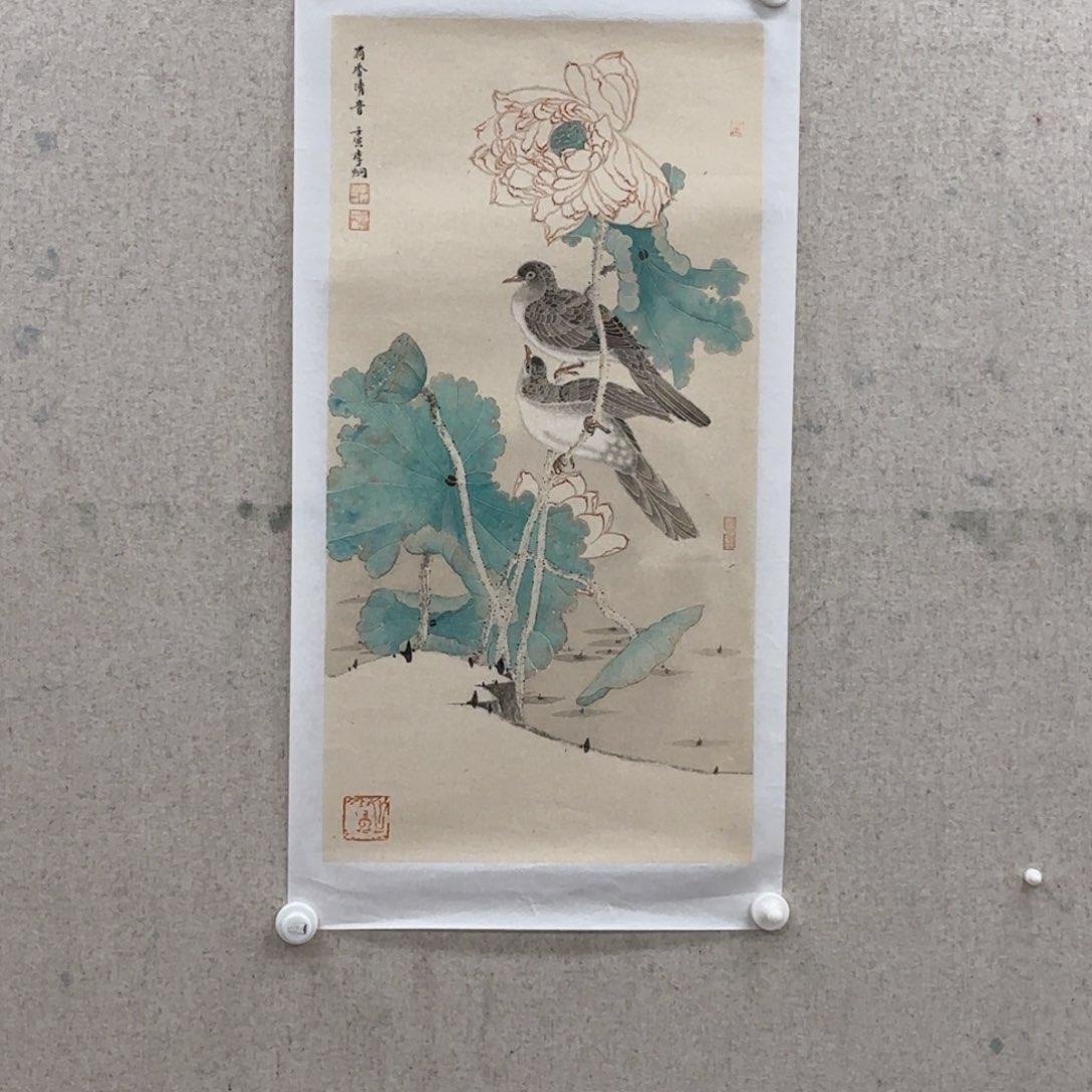 国画飛*李炯 花鸟 荷花