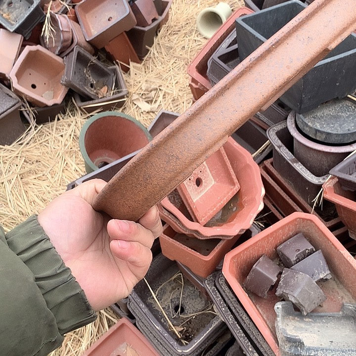 紫砂优秀青年科技