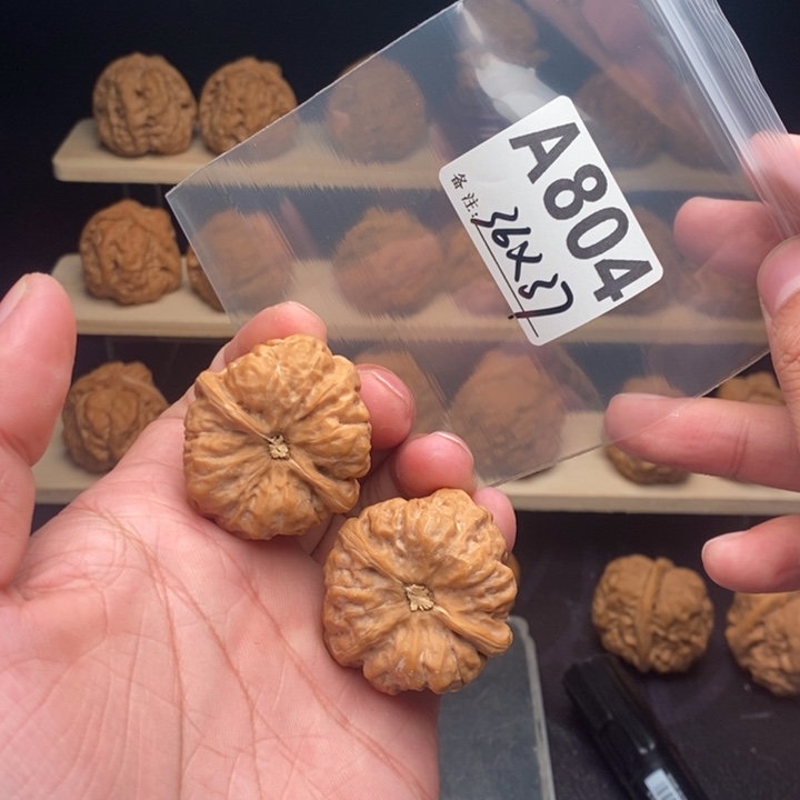 史***奇核桃A804蛤蟆头36尺