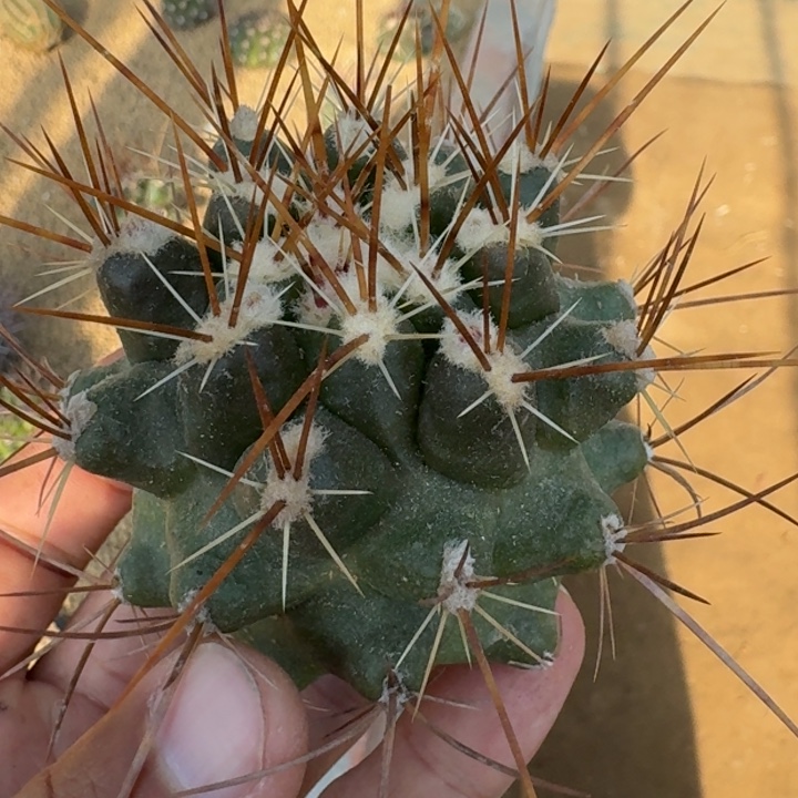 下播福利222222222222